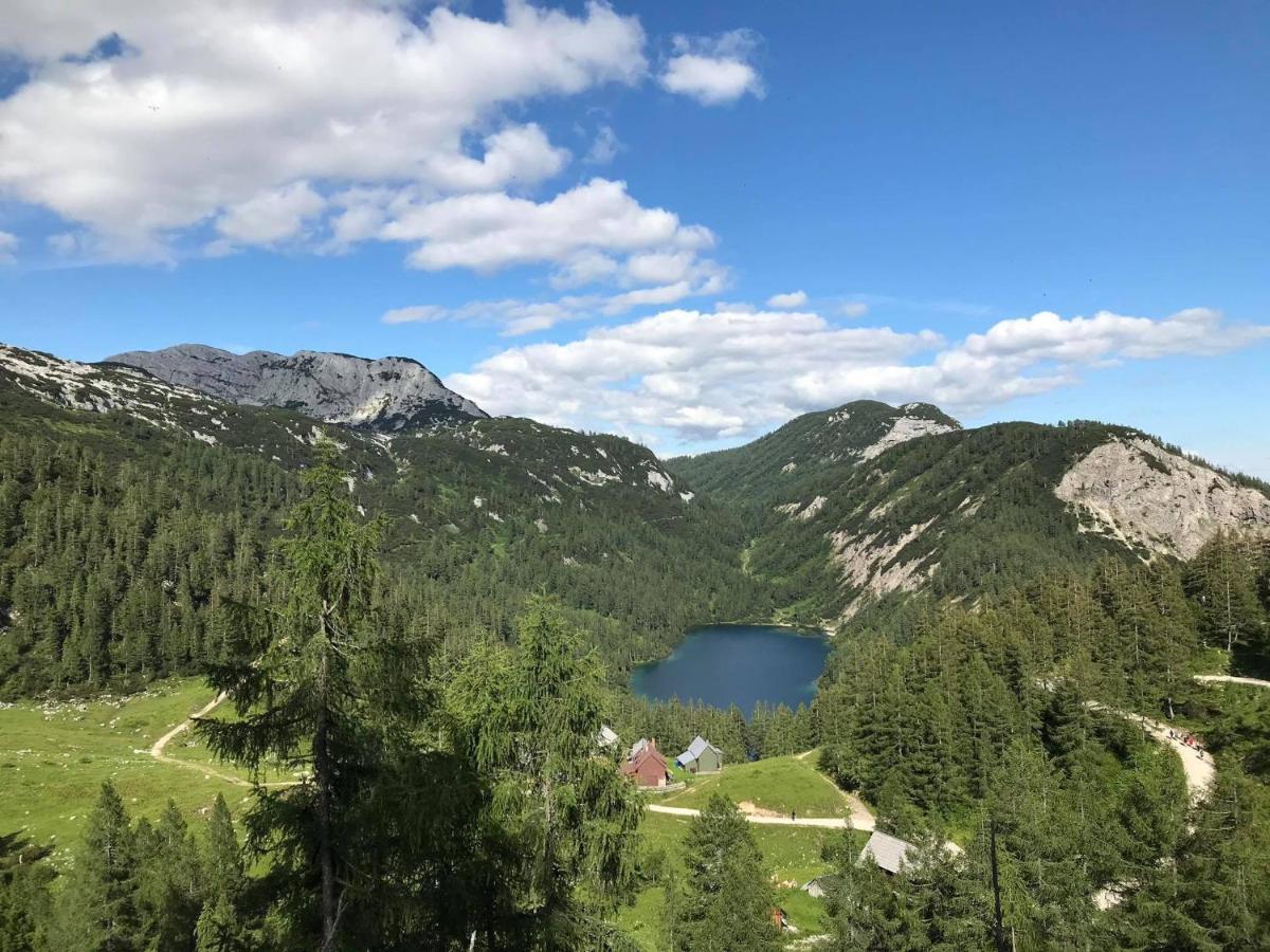 Katarina'S Cozy Bungalov Bad Mitterndorf Dış mekan fotoğraf